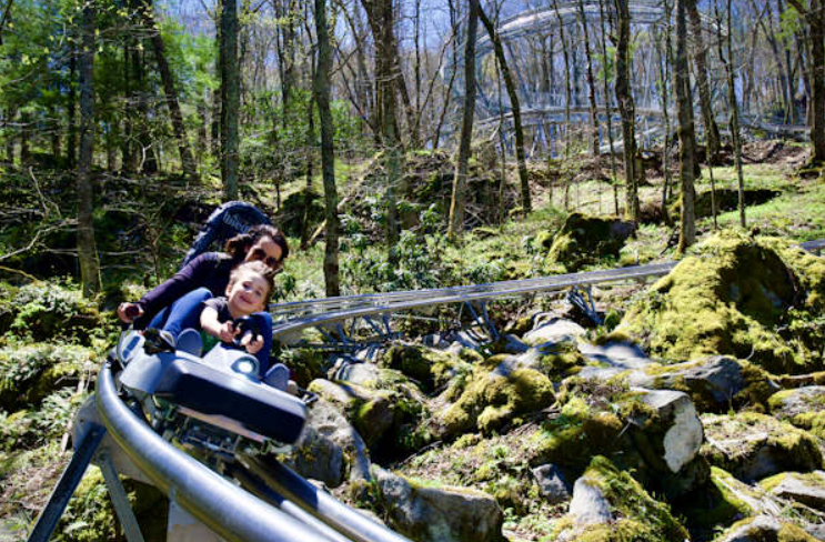 Wilderness Run Alpine Coaster, United States